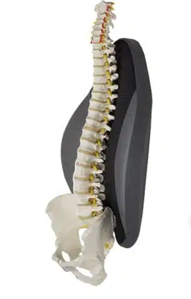 Freedom Back Cushion by Contour