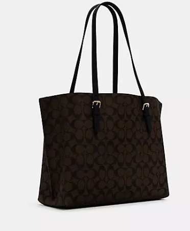 Coach Mollie Tote In Signature Canvas Brwn/Black